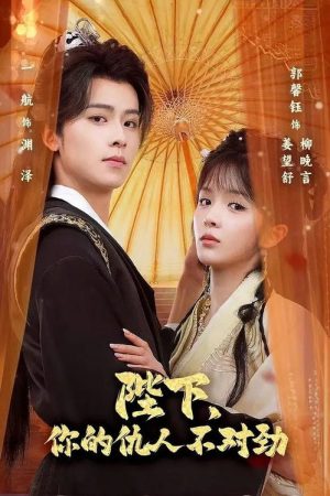 陛下，你的仇人不对劲 (2025) poster