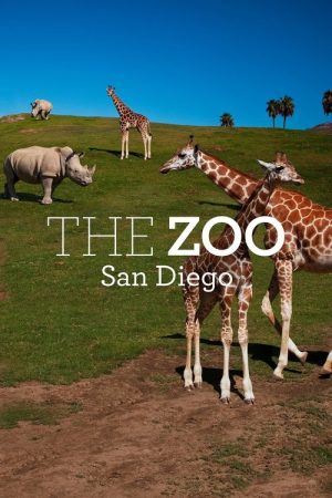 The Zoo: San Diego (2019) poster