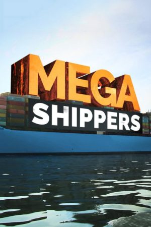 Mega Shippers (2016) poster