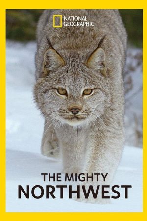 The Mighty Northwest (2018) poster