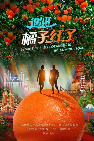 遇见·橘子红了 (2018) poster