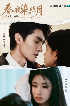 Bright Moon of Spring Night (2025) poster