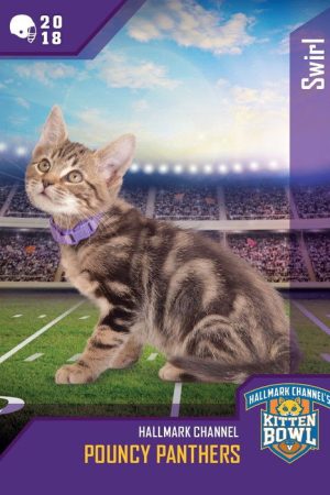 Kitten Bowl VIII Special (2021) poster
