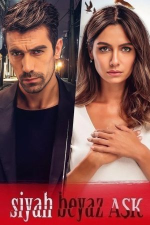 Price Of Passion (2017) poster