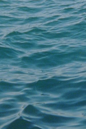 Water Diary (2026) poster