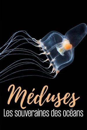 Jellyfish, The new Rulers of the Ocean (2026) poster
