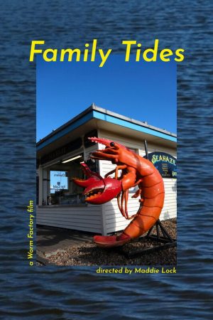 Family Tides (2026) poster