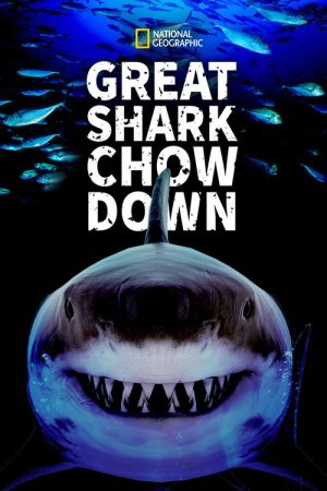 Great Shark Chow Down (2019) poster