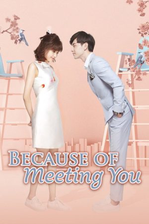 Because of You (2017) poster