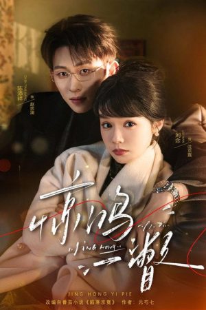 惊鸿一瞥 (2026) poster