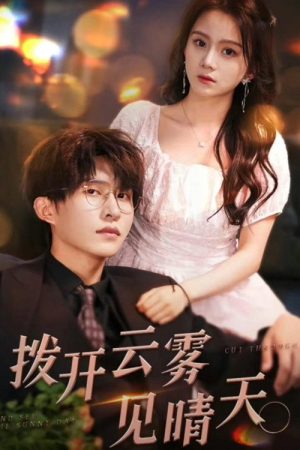 拨开云雾见晴天 (2023) poster