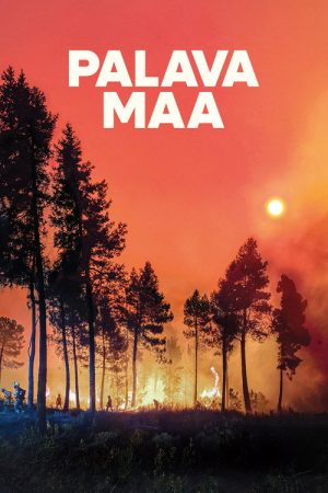 Lessons in Fire (2025) poster