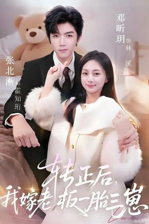 转正后，我嫁老板一胎三崽 (2026) poster