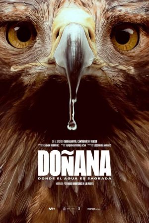 Doñana (2025) poster