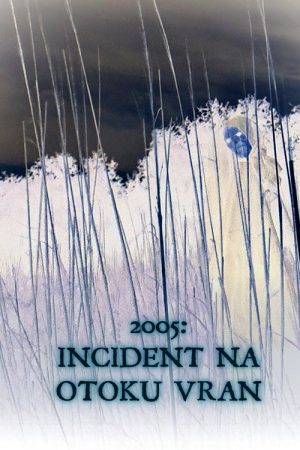 2005: The Vran island incident (2026) poster