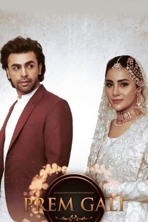 PremGali (2020) poster