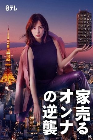 卖房子的女人的逆袭 (2019) poster