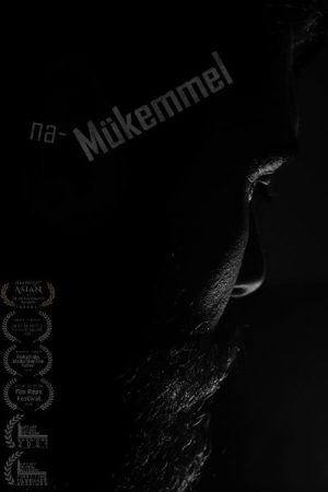 Imperfect (2020) poster
