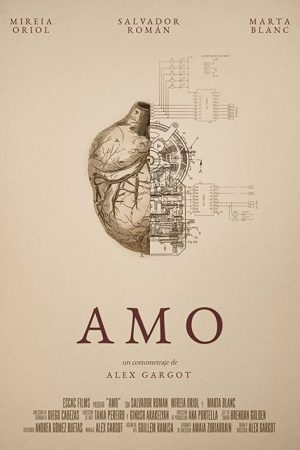 Amo (2016) poster