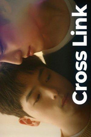 Cross Link (2026) poster