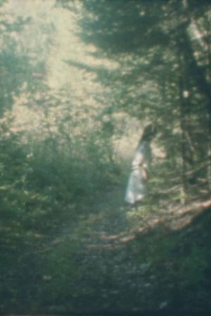 To the Forest (2026) poster