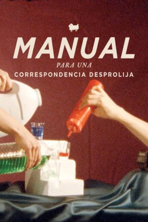 Manual for undity correspondance (2019) poster