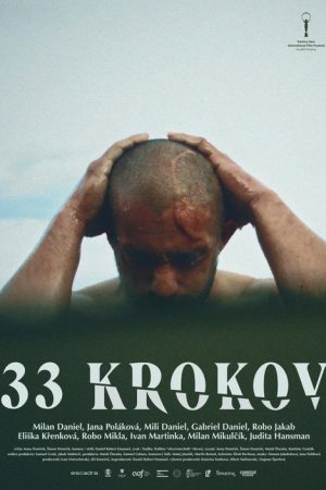 33 Steps (2026) poster