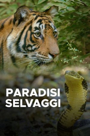 Paradisi selvaggi (2018) poster