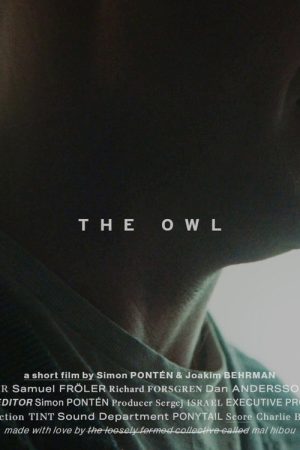 The Owl (2020) poster