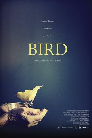 Bird (2017) poster