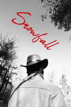 Snowfall (2026) poster