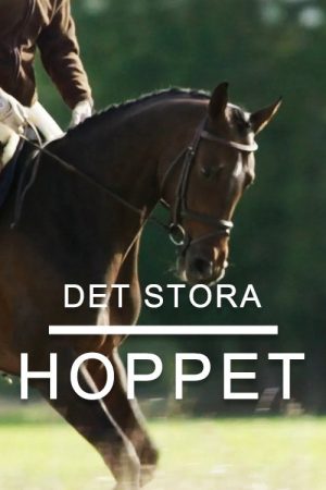 Det stora hoppet (2017) poster