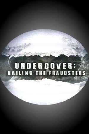 Undercover: Nailing the Fraudsters (2016) poster