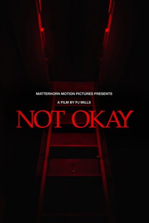 Not Okay (2026) poster
