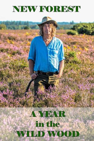 New Forest: A Year in the Wild Wood (2019) poster