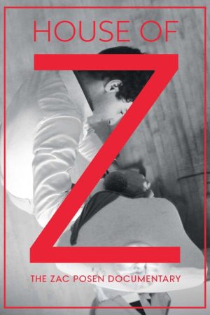 House of Z (2016) poster