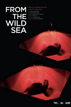 From the Wild Sea (2021) poster