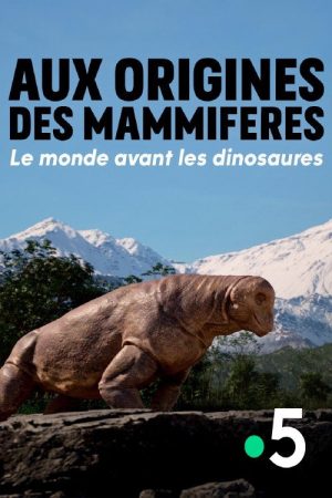Aux Origines des mammifères : le monde avant les dinosaures (2025) poster