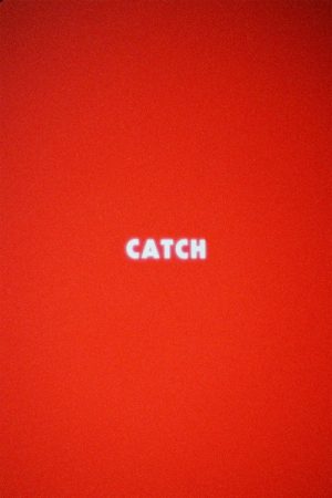 Catch (2020) poster