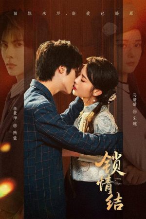 锁情结 (2025) poster