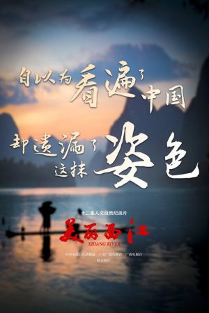 美丽西江 (2016) poster