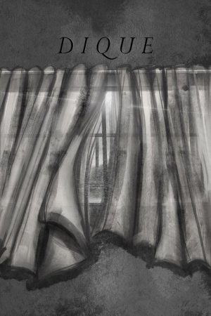Dike (2020) poster