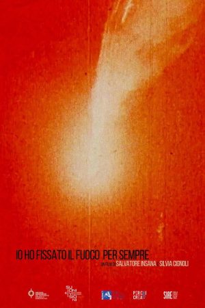 I Stared Fire Forever (2020) poster