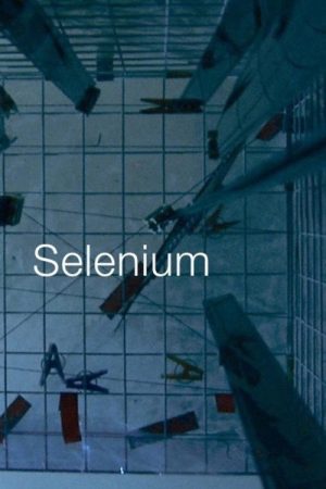 Selenium (2016) poster