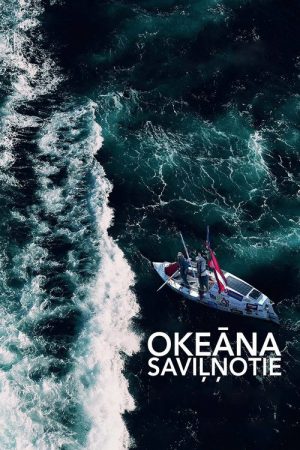 Touched by the Ocean (2017) poster