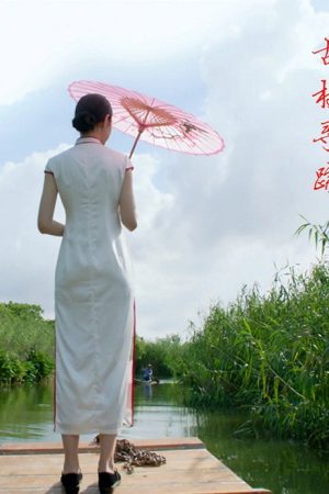 古村寻踪 (2020) poster