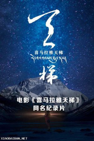 喜马拉雅天梯 (2017) poster