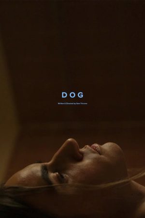 Dog (2024) poster