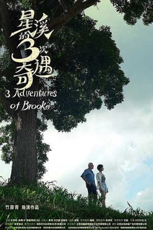 Three Adventures of Brooke (2019) poster