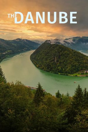 The Danube (2020) poster